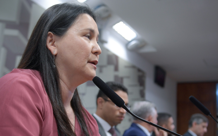 CAE – Comissão de Assuntos Econômicos Foto: Saulo Cruz/Agência Senado