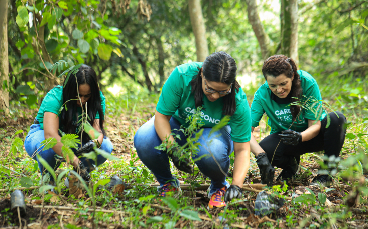 Pâmela Vivas, Daniele Silva e Alexsandra Ricci durante o plantio das mudas (Crédito: Edilson Dias/FecomercioSP)